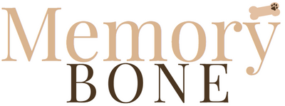 MemoryBone