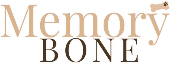 MemoryBone